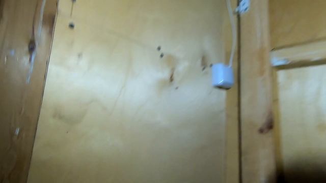 Мы встретили КИТАЙСКИЙ НОВЫЙ ГОД на ДАЧЕ.... смотреть онлайн