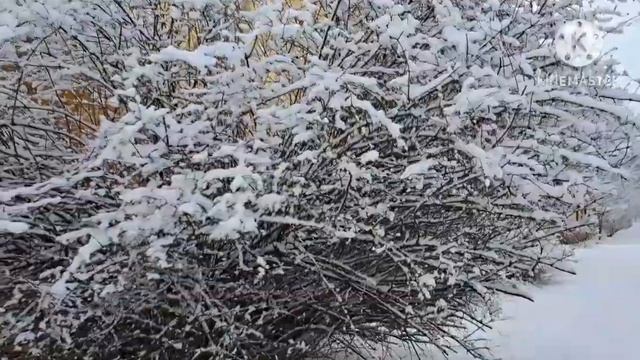 Крестовый поход/3часть смотреть онлайн