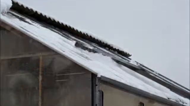 Уборка снега с теплицы смотреть онлайн