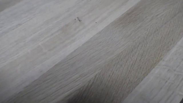 Какую выбрать древесину для лестницы дуб или ясень؟ смотреть онлайн