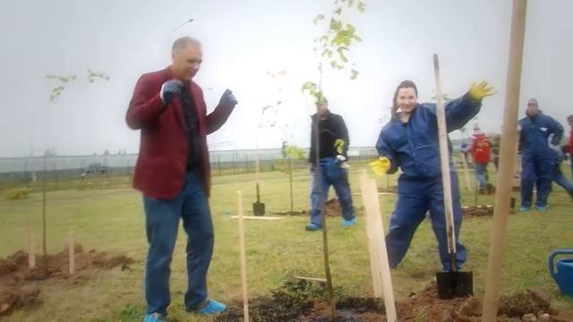 корпоративная аллея Radius Group от Подари Дерево смотреть онлайн