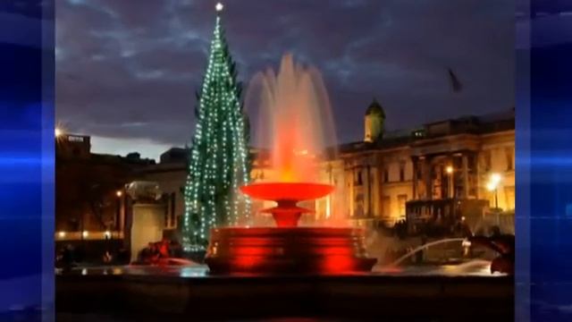 Самые необычные елки смотреть онлайн