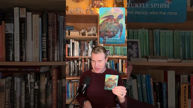 Weekly Oracle Reveal 🔮✨ | Tarot Reading for Dec 14 to Dec 20 | Elliot Oracle 🦔🐢🛡 смотреть онлайн