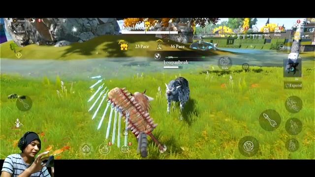 Chimeraland Guide Transform proses naikin grade C ke B Leoparbeak смотреть онлайн