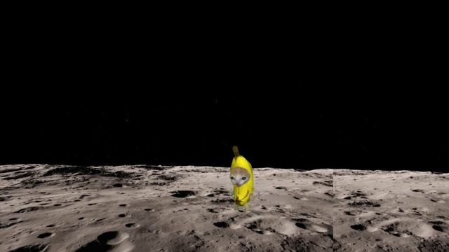 Happy Cat Save Banana Cat | Happy Happy Cat | #happycats @gchmch8655