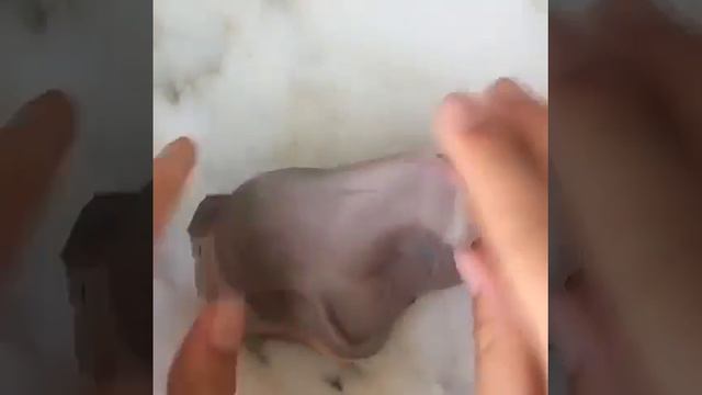 СЛАЙМЫ Инстаграм ! ЗАЛИПАТЕЛЬНОЕ ВИДЕО! Супер подборка ! смотреть онлайн