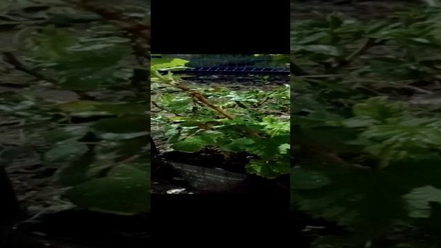 VID_20220421_221020.mp4 смотреть онлайн