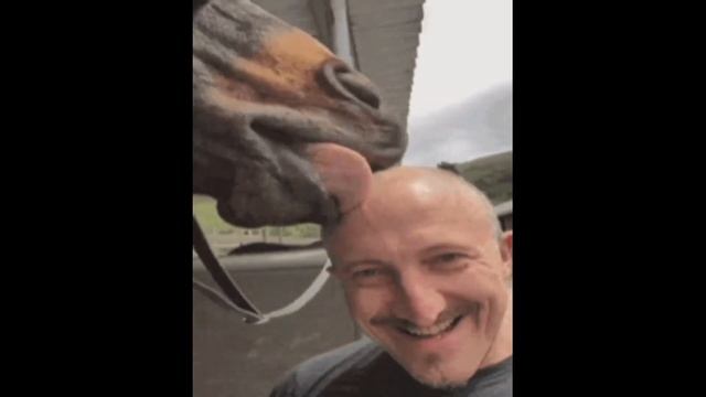 Частушки 21+ смотреть онлайн