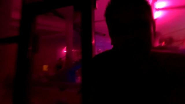 Выбежать голышом на улицу при -15 мороза! | Мореон аквапарк Москва смотреть онлайн