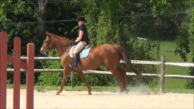 Fiona May 2014 смотреть онлайн