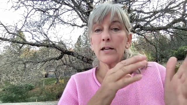 Monk Fruit vs. Stevia, Aspartame, Erythritol, Xylitol. A non-sugar sweetener primer. смотреть онлайн