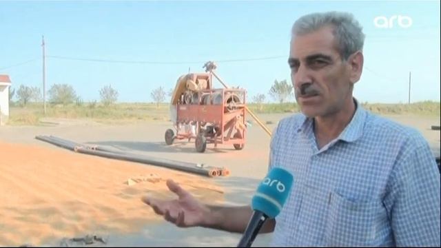 Darı bitkisini əkmək sərfəli və faydalıdır смотреть онлайн