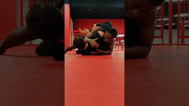 BJJ Brazilian Jiu Jitsu black belt vs white belt смотреть онлайн
