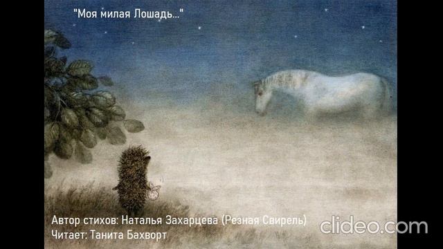 «Моя милая Лошадь, пишу тебе из тумана...» смотреть онлайн