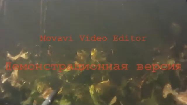 пруд владимировка смотреть онлайн
