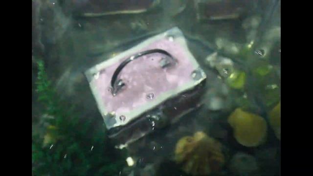 Конёк-горбунок смотреть онлайн