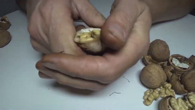 Интенсивные молдавские сорта грецкого ореха. "Васион", "Скиноский". смотреть онлайн