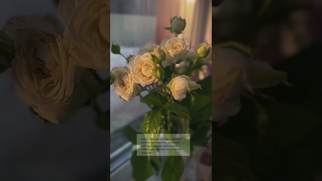 Дом- место, куда хочется возвращаться… #aesthetic #дом #home смотреть онлайн