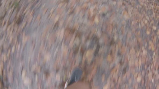 Forêt Saint-Cucufa - Rueil Malmaison - Trail смотреть онлайн