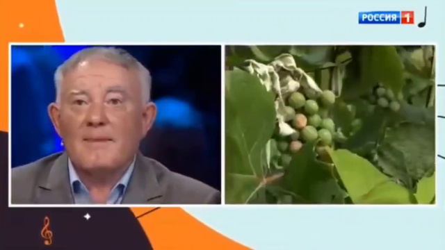 Песни от всей души 22.10.2223.Александр Цыганов. Берега, Берега. смотреть онлайн