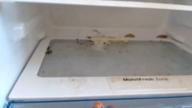 How to clean and maintain a Fridge Samsung | Cleaning Tips for Refrigerator | For odor free fridge смотреть онлайн