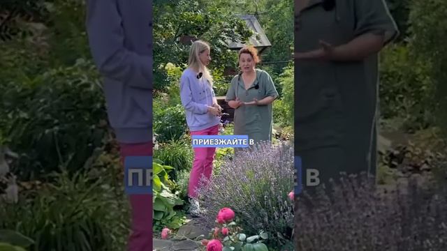 Проект "Сердечные встречи". Как создать малоуходный сад. Как выбрать сорта роз для сада. смотреть онлайн