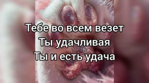 Саблиминал на удачу #удача #саблиминал #аффирмации