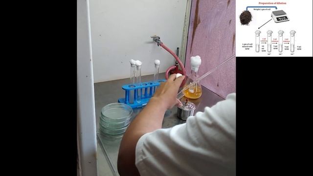 Isolation of Bacteria from Soil смотреть онлайн