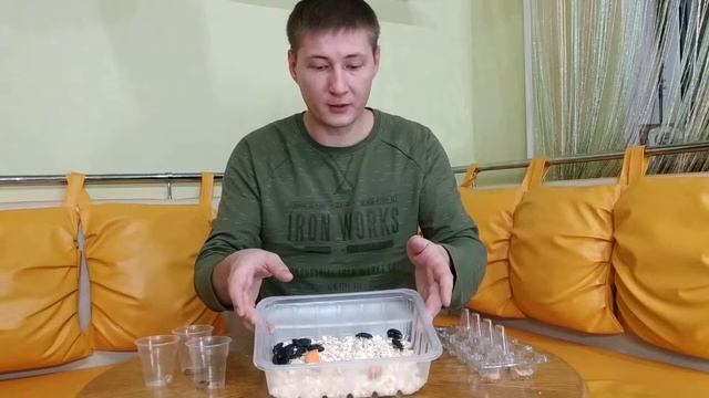 Как разводить зофобаса дома смотреть онлайн