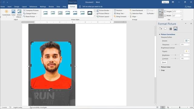 How to Make Passport Size Photo in Ms Word Without Photoshop | SUMIT TECH SOLUTION смотреть онлайн