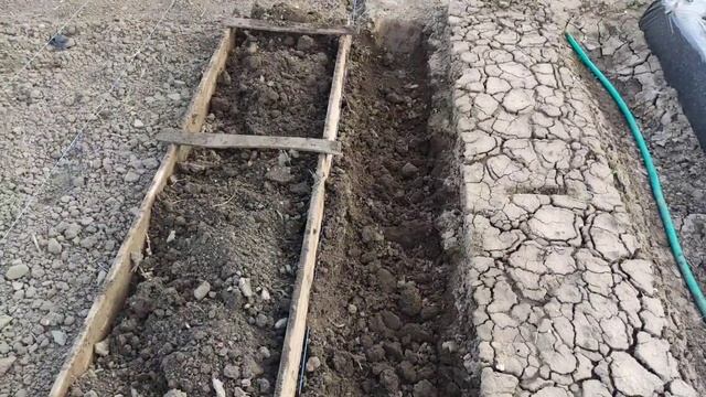 Как сделать СУПЕР БУГРЫ для клубники? смотреть онлайн