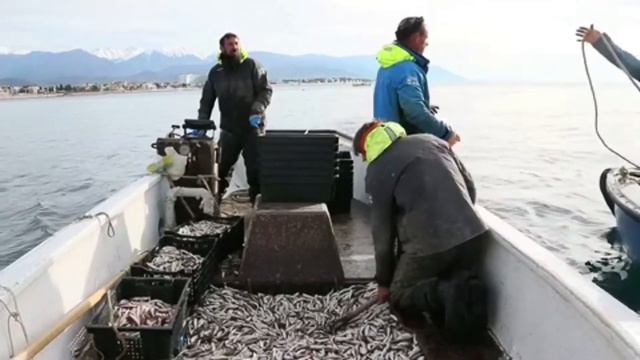 Fishing דיג Рыбный промысел в Сочи صيد السمك Fiske 어업 смотреть онлайн