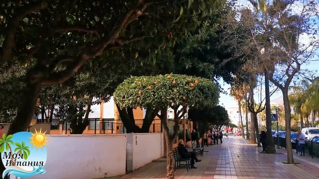 Зима в Эстепоне(Испания). Какая она??? Да вот такая! смотреть онлайн