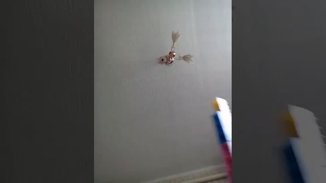 Как сделать м 16 смотреть онлайн
