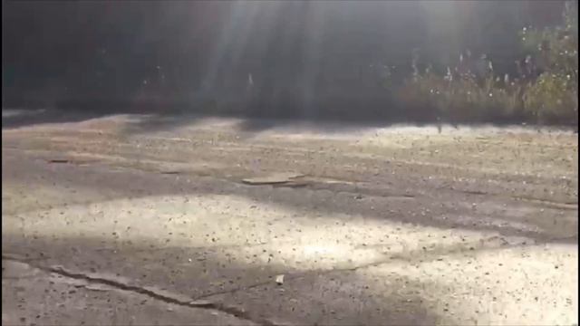 Закрытие сезона PRT 2019/Deaf