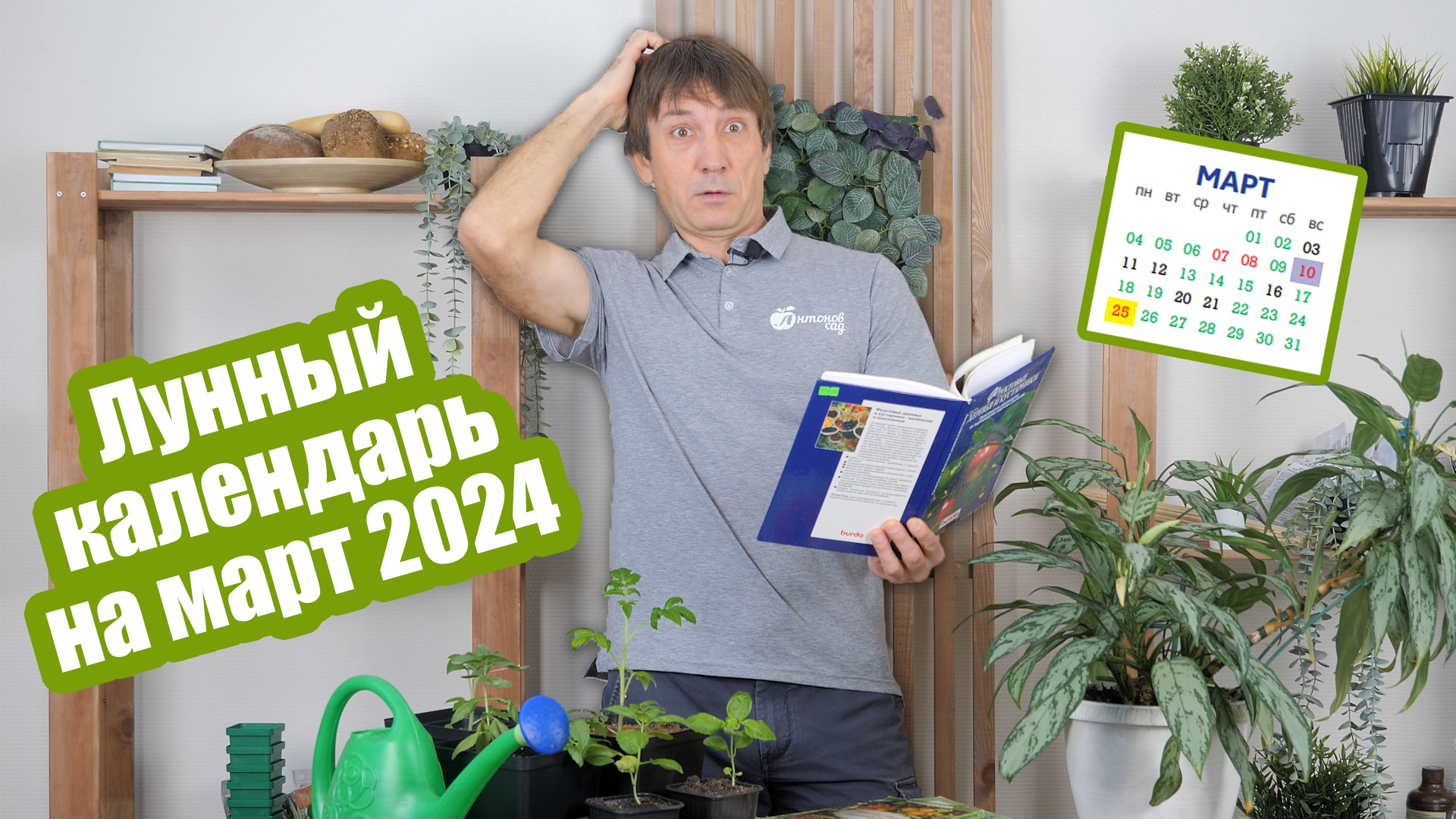 Лунный календарь огородника на март 2024. Календарь посевов на март смотреть онлайн
