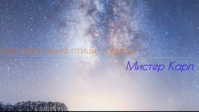 Горловое пение птицы "говорун" смотреть онлайн