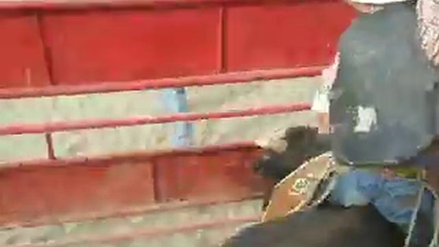 toros adan pedrero 6 смотреть онлайн