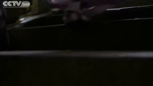 Китай на кончике языка I-03:Удивительная биоконверсия