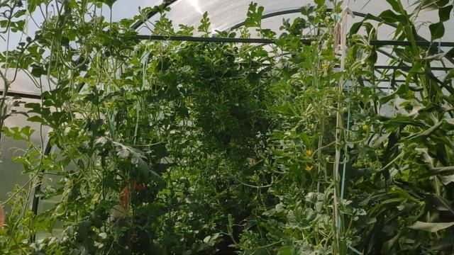 Наша новая дача спустя год. Что изменилось? смотреть онлайн