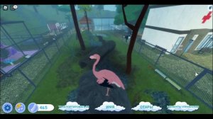 Как быстро получить много перьев в семье птиц | feather family | Multikplayer