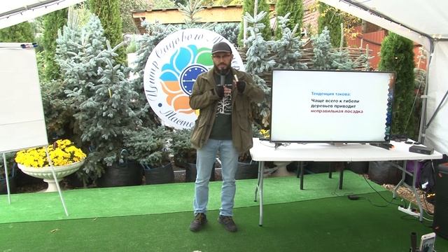 Основная проблема, которая убивает деревья на вашем участке. Дмитрий Звонка на #MasteraSadaFest 202 смотреть онлайн