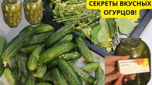 Солёные огурцы с аспирином «Бабушкин рецепт».
