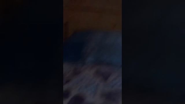 Горный Алтай , Акташ.Домики в База отдыха «БЕЛОМ- КАМНЕ»,room-toor,(БАНЯ,РЕЧКА,АИЛ,И МНОГОЕ ДРУГОЕ)