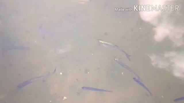 Жаркий день в августе. Хопер. Беково. смотреть онлайн