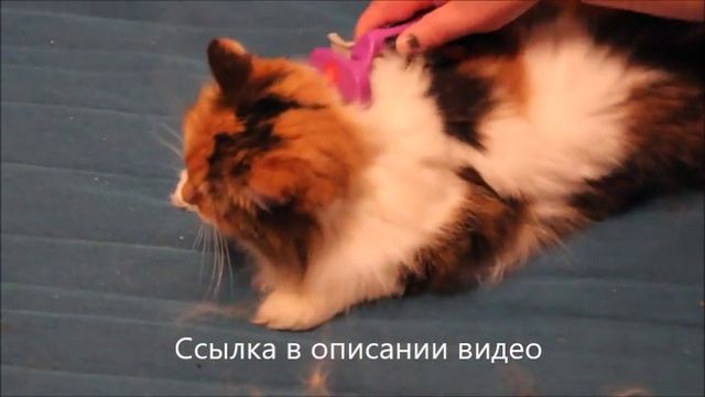 фурминатор для кошек купить смотреть онлайн