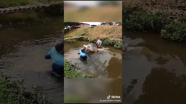 VID-20231204-WA0006.mp4