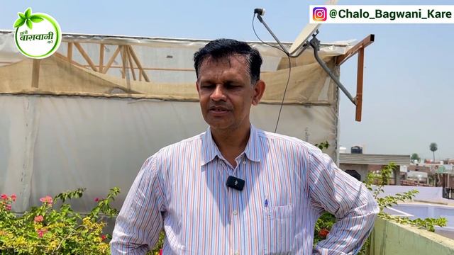 यूट्यूब पर पहली बार 😲 😲 भारत के विख्यात बोगनविलिया ब्रीडर इरफ़ान जी का इंटरव्यू 🇮🇳 🇮🇳 смотреть онлайн