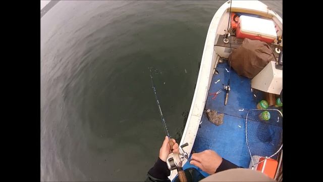 How to Catch Flounder with a Jig and Gulp - 20 fish in 18 minutes смотреть онлайн
