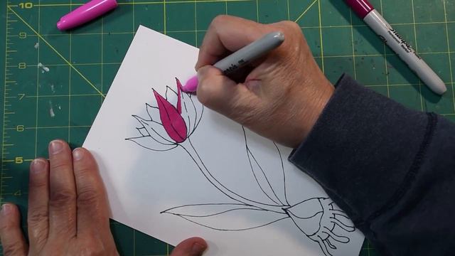 Spring Tulip смотреть онлайн